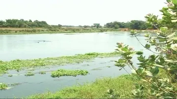 Daya pollution: Khurda residents demand supply of Naraj barrage water