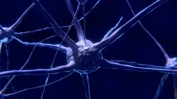 Gene linked to sudden death in epilepsy identified