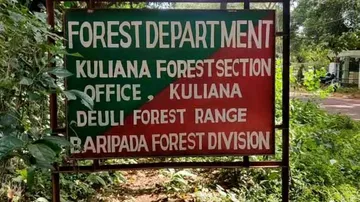 Odisha: Deer killed after being hit by vehicle near Similipal