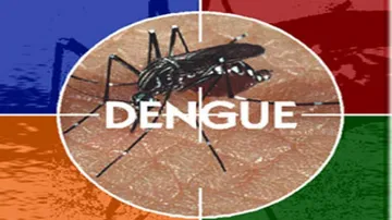 Dengue outbreak: Time to take Swachh Bharat Abhiyan seriously