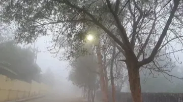 Dense Fog