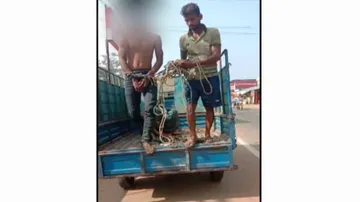Youth Beaten Up In Odisha Over Eve-Teasing