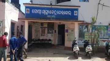 Odisha: Minor Girl Critical After Being Attacked By Stray Dogs In Mango Orchard