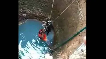 Woman Wins Hearts For Saving Stray Dog From Drowning In 30 Ft Deep Well
