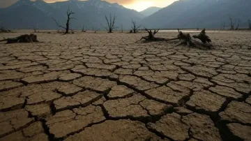 Drought