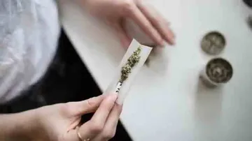Sexual minority youth at higher risk of drug use: Study