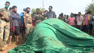 Elephant Found Dead In Khurda Was Pregnant: Post-Mortem Report