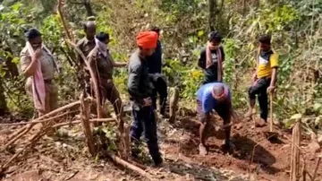Elephant Calf 'Killed By Tiger' In Mayurbhanj