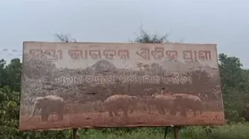 Elephant Deaths In 'Poachers' Trap: Odisha Forester, Guard Suspended