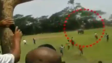 Panic grips locals after elephant herd strays into village in Ganjam