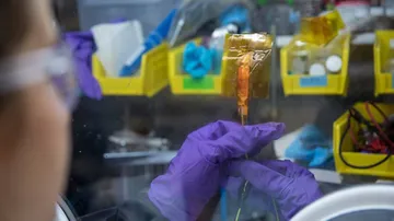 Device that can harvest electricity from human motion