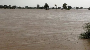 Flood situation grim in Balasore