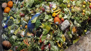 'One third of world food produced is thrown away'