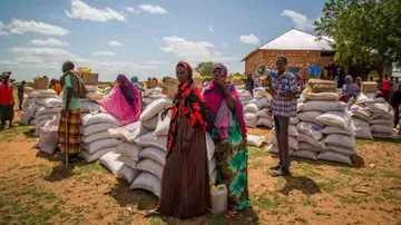 Conflicts, climate worsen food insecurity in many countries