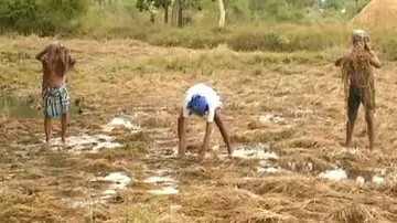 'Distressed' Odisha farmers threaten to observe August 15 as 'black day'