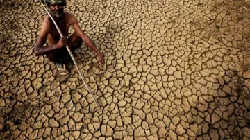 The tragedy of farmers in once prosperous Punjab