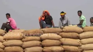 Aadhaar Linkage Data Reveals Huge Farm Loan Irregularities In Odisha