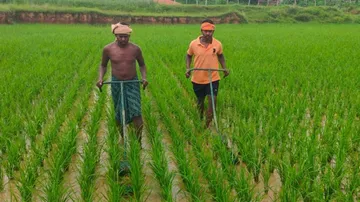KALIA Money Still Eludes Beneficiaries In Odisha