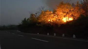 Forest fire doubles summer woes for Kandhamal people