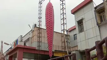 Odisha ITI Students Aim Guinness World Record With Giant Fishing Lure Made From Scrap