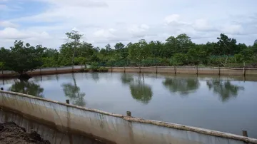 Odisha launches 'Fish Pond Yojana' to boost fresh water aquaculture