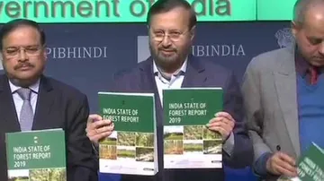 Increase Of 5,188 Sq Kms In India's Forest, Tree Cover
