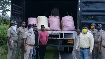 Odisha: Over 600 Kg Ganja Seized, 6 Arrested