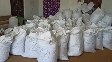 Ganja Worth Rs 1.30 Crore Seized In Koraput, 1 Arrested