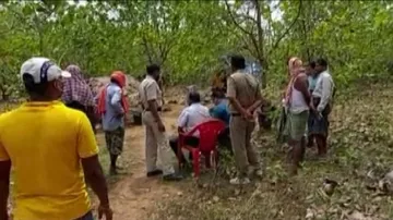 Elderly Couple Found Murdered At Cashew Orchard In Odisha’s Ganjam