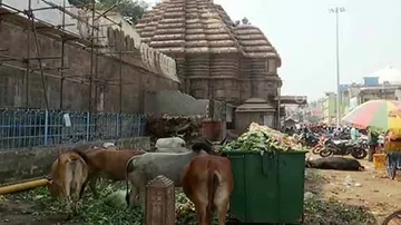 Uncleared heaps of garbage choke Puri