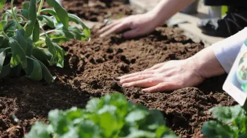 Gardening