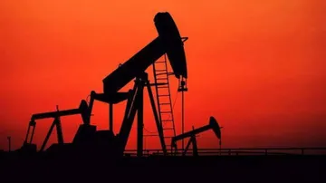 Govt To Lift Pricing Curbs On Domestically Produced Gas