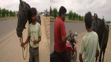 Passion, not profession, draws these UP horsemen to Odisha