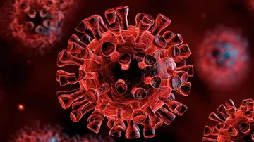 Coronavirus Pandemic: Global COVID-19 Cases Cross 15.1 Million Mark