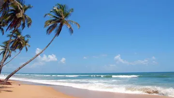 After monsoon ban, Goa beaches open for swimming