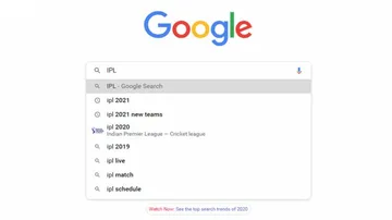 Not COVID-19, IPL Tops Trending Search Query On Google In 2020