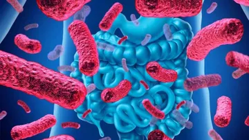 Gut Bacteria May Increase Bowel Cancer Risk