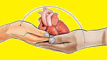 Heart Transplants Declined Sharply During COVID-19 Pandemic