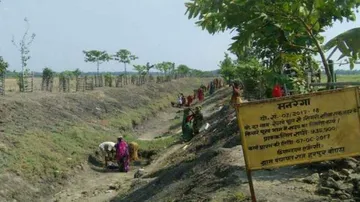 Bihar village that transformed wasteland into oasis
