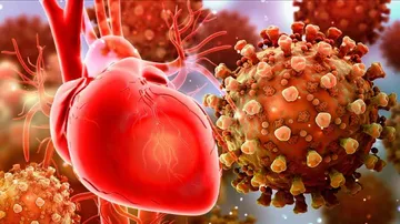 Congenital Heart Defects Not Linked To Severe Covid Symptoms