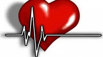 Men & Women May Develop Heart Disease Differently