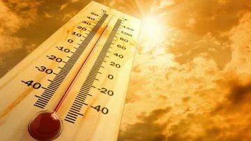 Parts Of India To See Deadly Heat Waves In Coming Decades: Study