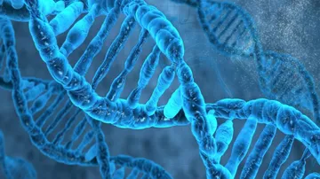 'Junk DNA' Affects Risk Of Inherited Cancer: Study