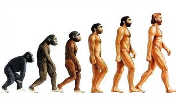 3 Species Of Human Ancestor Roamed The Earth At The Same Time