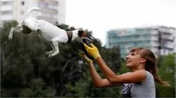 No, your pet is not your child
