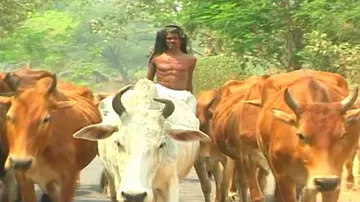 Angul Farmers Resent Over Non-functioning Of Veterinary Hospitals