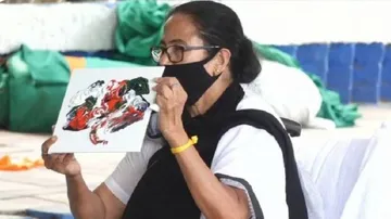 Alone On Wheelchair Staging Protest, Mamata Banerjee Goes On A Painting Spree (SEE PICS)