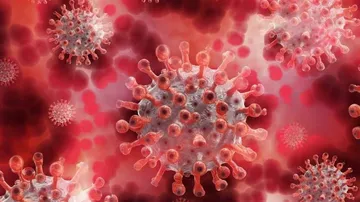 Indian & UK COVID Variants Detected In South Africa