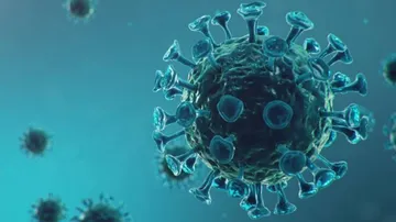 Coronavirus Protocols To Quickly Identify Mutants Developed By Scientists