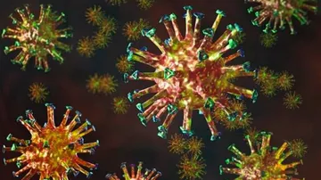 India's Coronavirus Variant Spread To 44 Countries: WHO